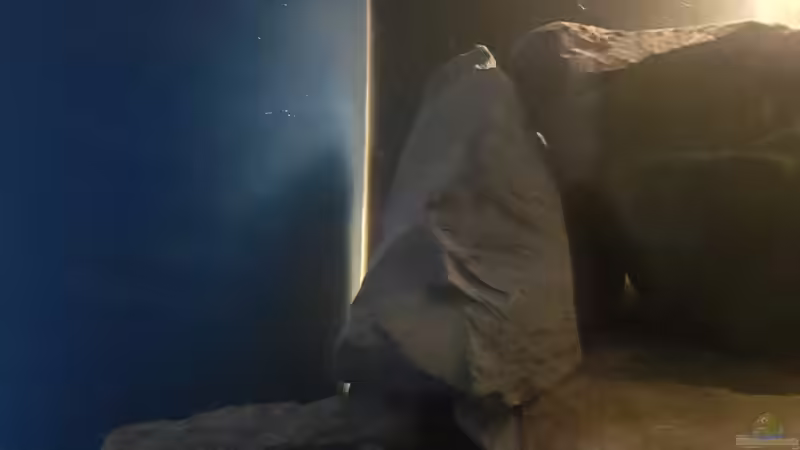 Matteneckfilter  von Thomas0902 (34)