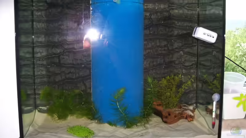 Mattenfilter - zentriert und halbrund (ohne Wasser) von auecheck (10)