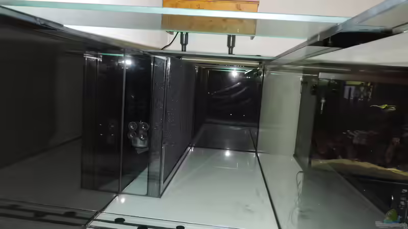 Mattenfilter von Fichte (86)