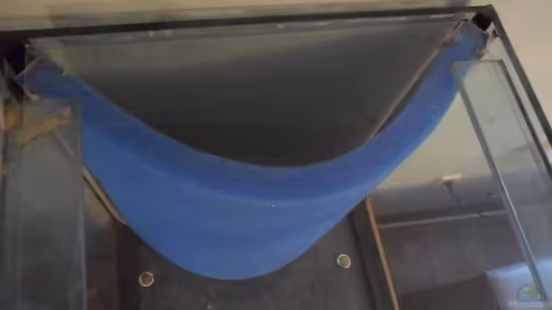 mattenfilter von kleines becken (10)