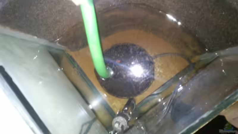 Mattenfilter von oben von Noah (14)