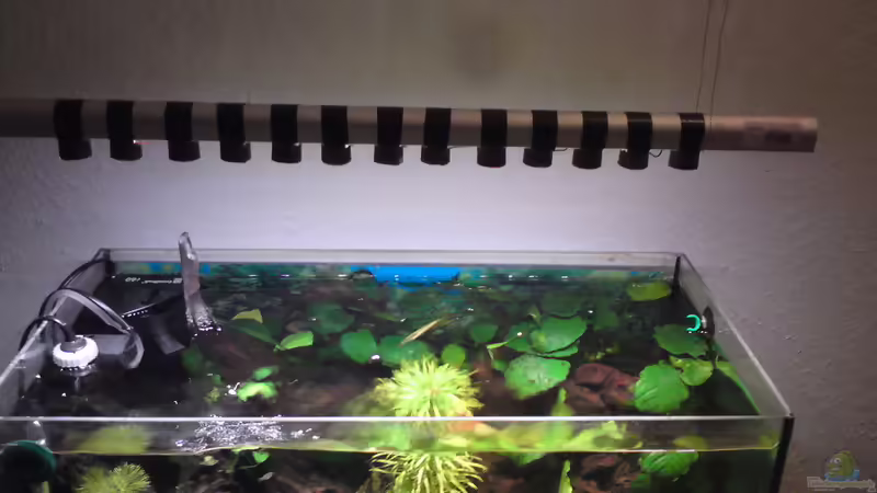 max. 45W LED Beleuchtung von Aquamaster (7)