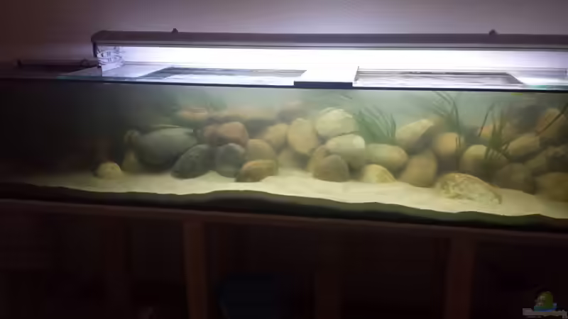 ´MbunaBay´ (Tag 1 der Fertigstellung des Layouts) von AfricanBay (3)