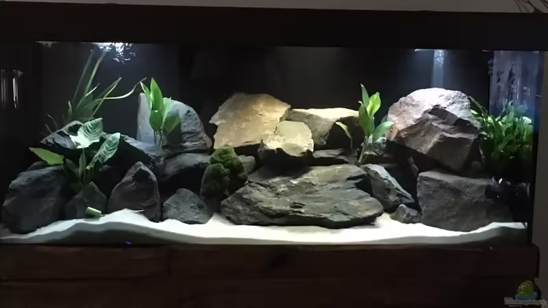 MBunabecken in der Dämmerung von Adrian Krahmer (1)