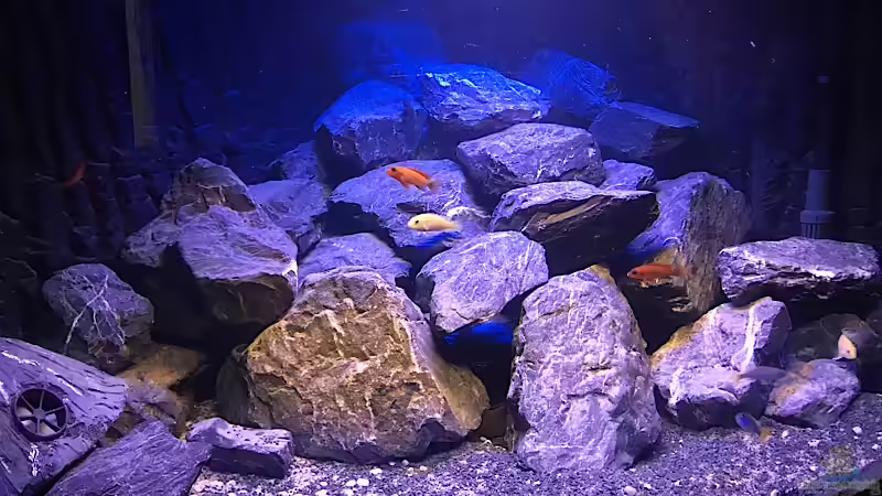 Mbunatank von Raklie (1)