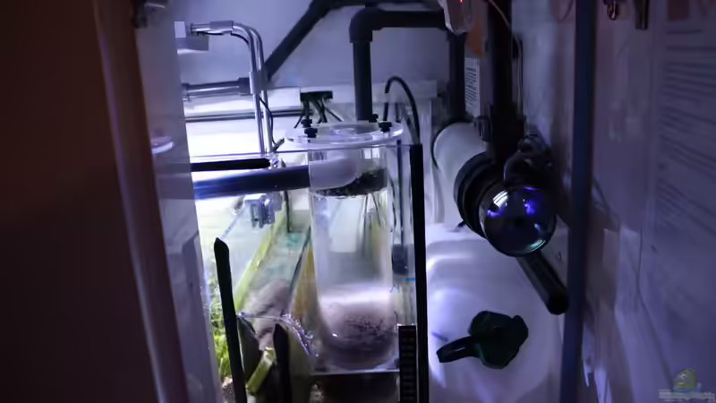 Medienreaktoren richtig einsetzen - Effiziente Wasseraufbereitung im Süß- und Meerwasseraquarium
