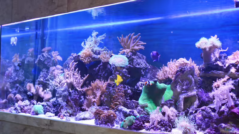 Meerwasser von Manfred Janßen (1)