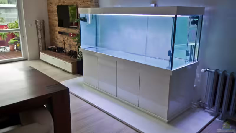 Meerwasseraquarium von MH (3)