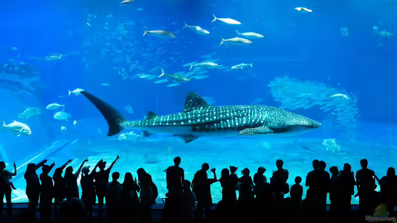 Megafauna - Giganten der Tierwelt an Land und im Wasser