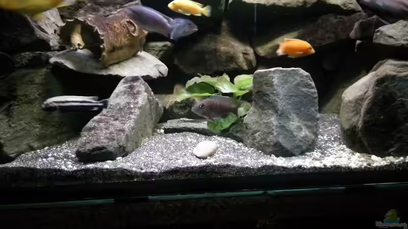 Mehr Bewohner  von Wasserfest ;-) (27)