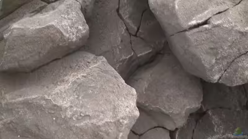 mehr Details von pacho (7)