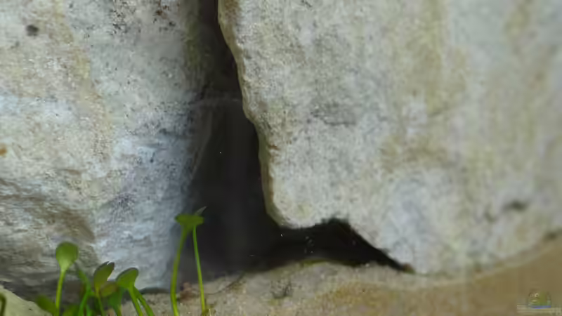 Mehr Höhlen von paris (25)