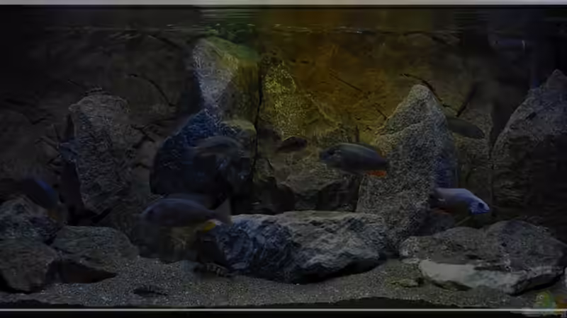 mehr oder... von ***ELLIS*** (8)