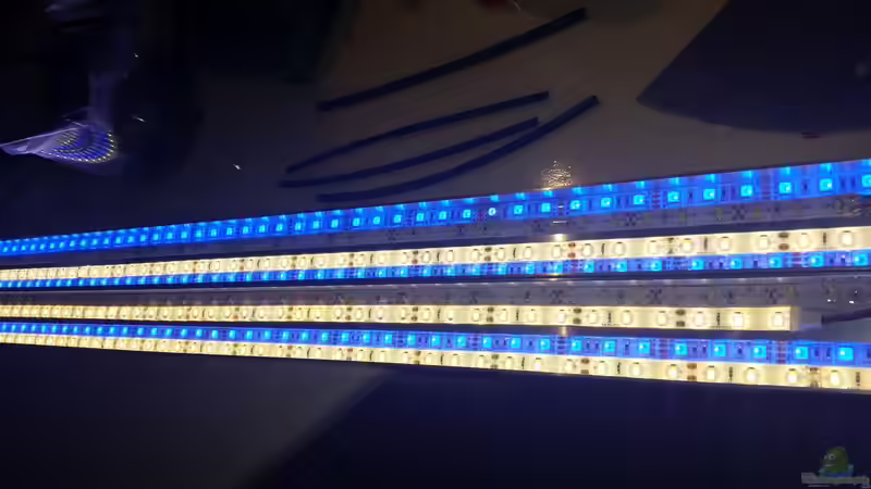 Mehr Power Blau / WW 15.10.15 von Betta Chris (130)