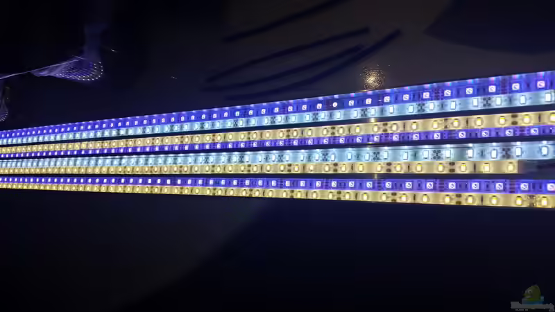 Mehr Power Vollgas! 15.10.15 von Betta Chris (133)