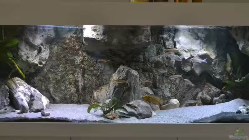 Mehr Sand als Steine 26.11.15 von falleb (1)