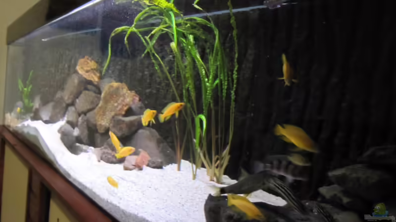 Mehr Steine!! von Haens84 (22)