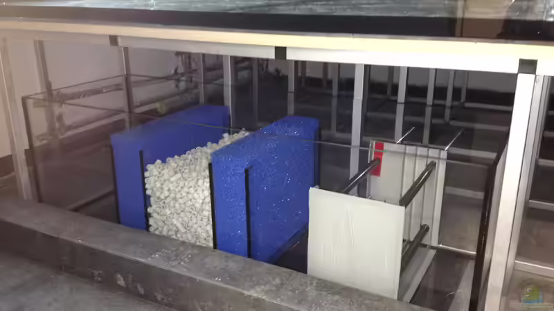 Mehrkammerfilter von Hoppe-Terrarienbau (10)