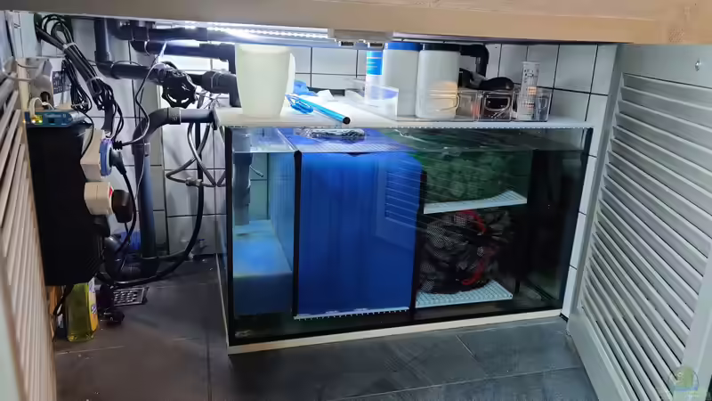 Mehrkammerfilter von LEDaquaristik.de (17)