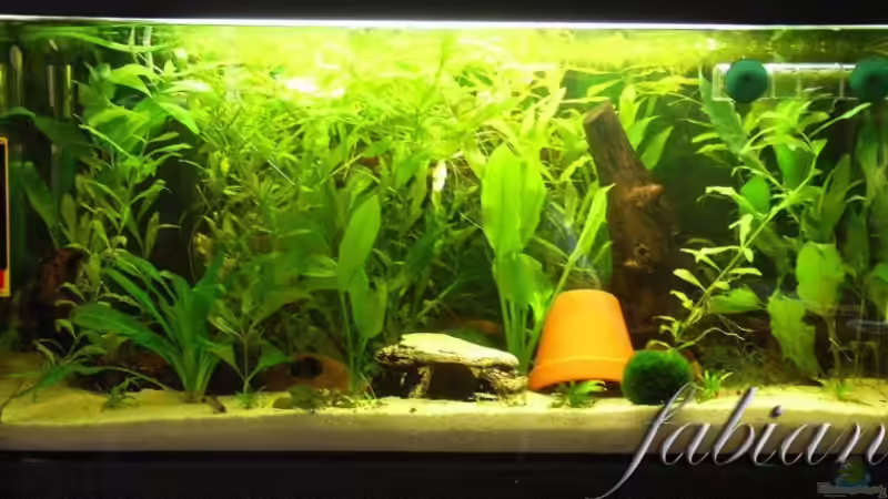 Mein 112L AQ ^^ von Fabian Springer (1)