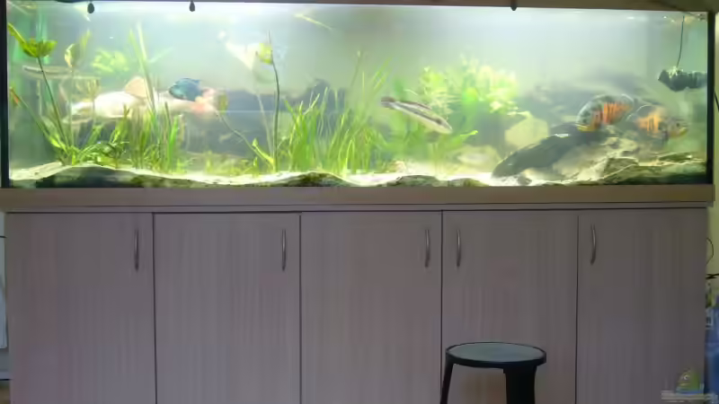 mein 1400 lieter tank von Schmitzi (2)