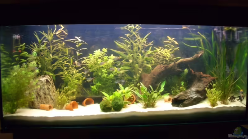 Mein 240er Hauptbild von Juergen Keimeleder (1)