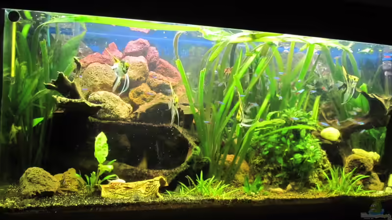 mein 240er von Tommy Büttner (1)