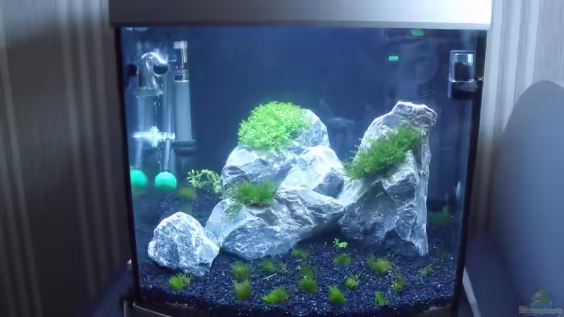 Mein 30l Becken von Theo Becker (1)