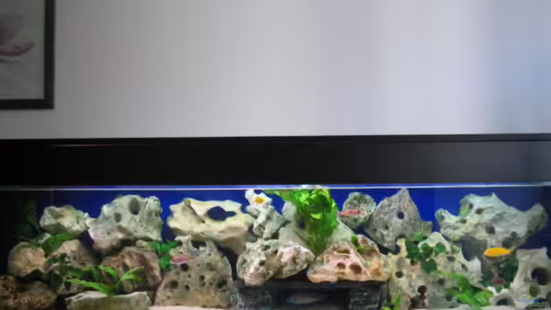 Mein 500 Liter Becken