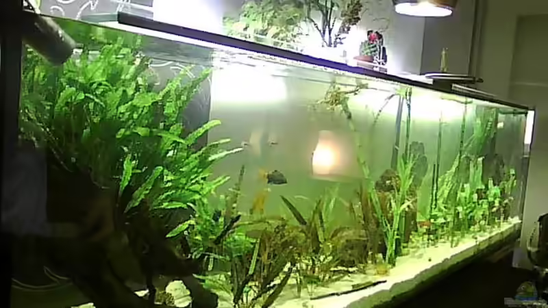 MEIN 500l von Christian Franke (2)