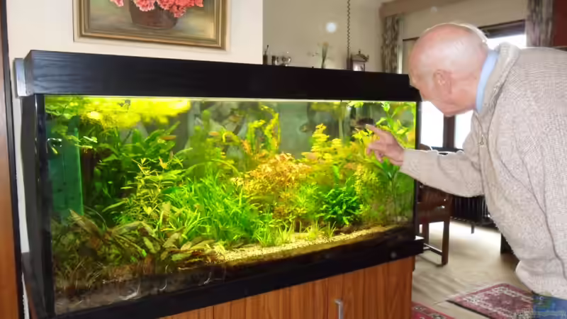 mein 87-j. Schwiegervater sichtlich vergnügt... von Bungi (37)