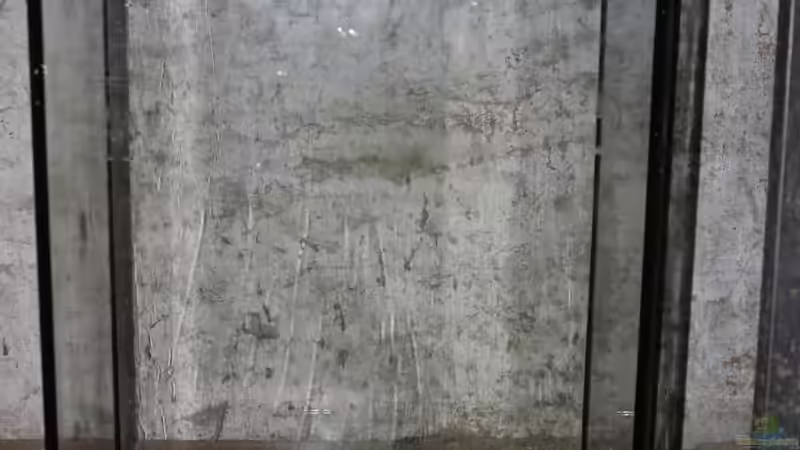 mein 90l-Becken dient jetzt als Technik-Becken  von Falk (24)