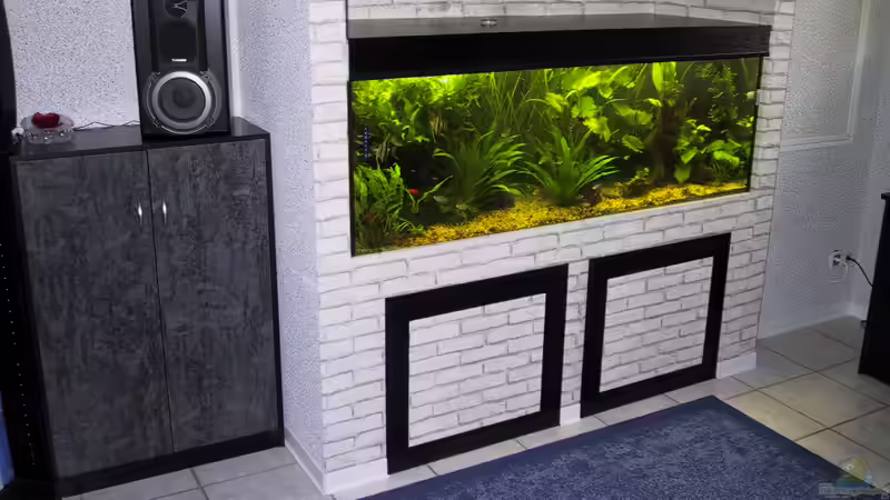 Mein altes Becken früher von redieh (13)