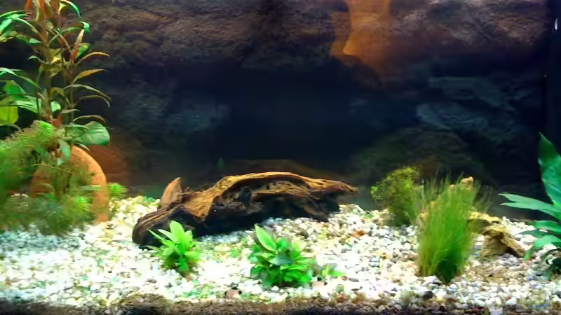 Mein AQ in der ersten Woche. von Bjoern Wenzel (2)