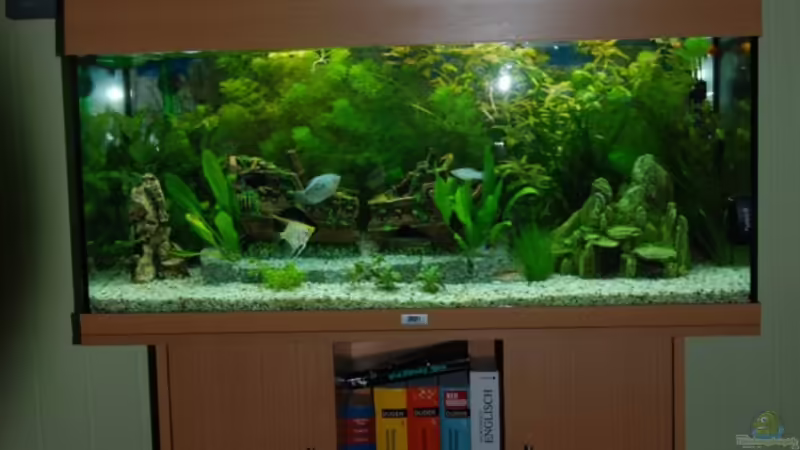 Mein Aqaurium  von Jannn (1)