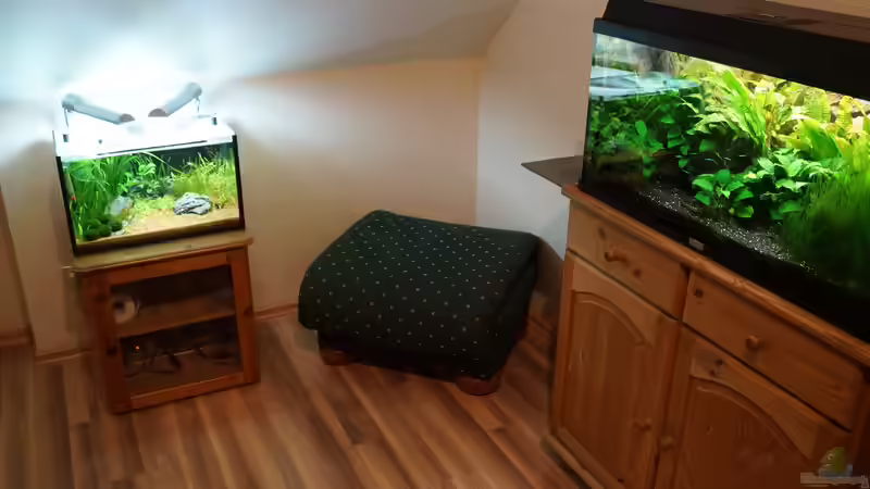 mein Aqua-Büro von Guido Seifert (6)