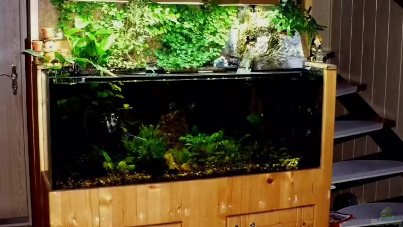 Mein Aquarium! von Werner Lehmann (1)