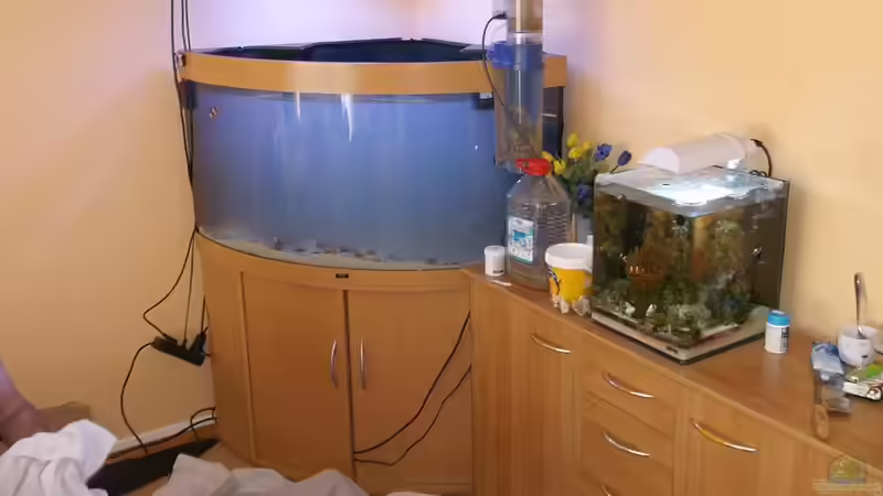 Mein Arbeitsplatz für fast 3 Tage  von Aqua_Art_Krefeld (3)