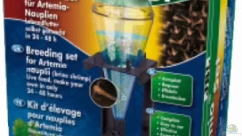 mein Artemien Aufzuchtset- hab den Bogen noch nicht ganz raus von Pflanzennarr (27)