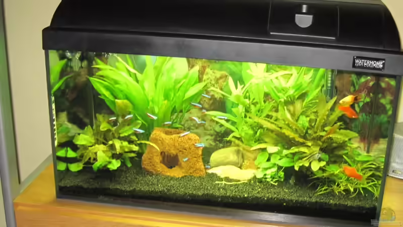 Mein Aufgelöstes 60er Mein Aufgelöstes 60er