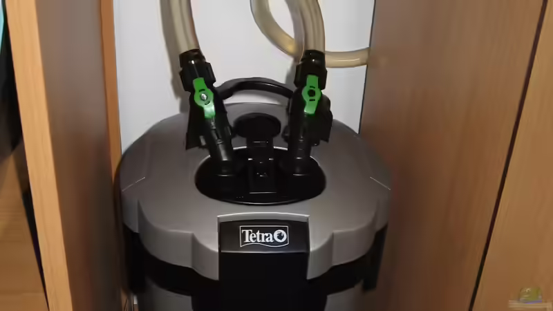 Mein Außenfilter von Zodiack (17)