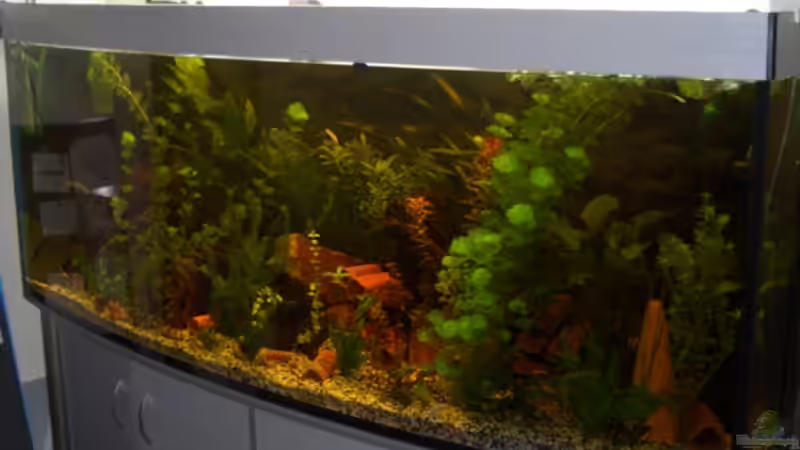 Mein Becken =) von Andreas Kneissler (1)