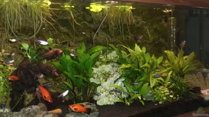 mein Becken: es folgen noch bessere Fotos von Jan Krüger