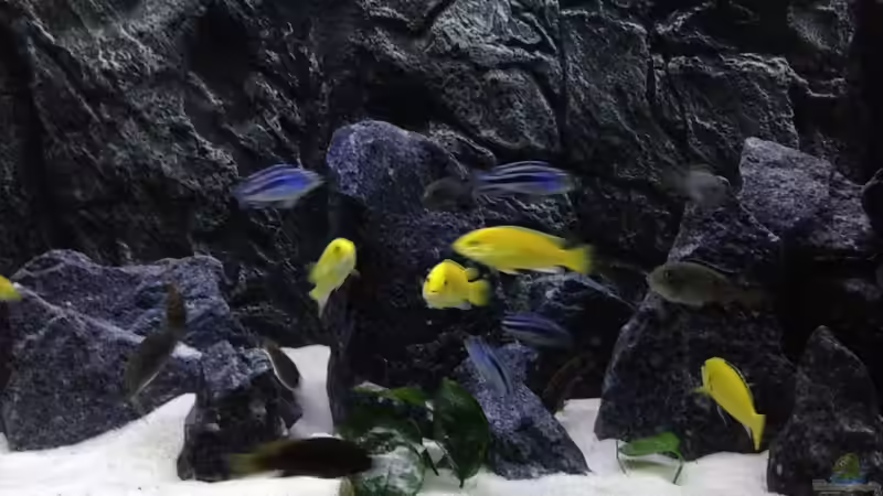 Mein Becken  von Christian.D (1)