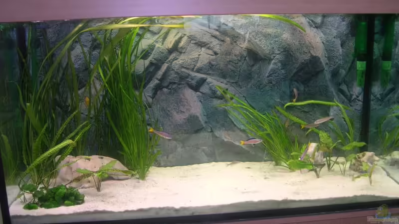 Mein Becken. von Christopher Winkler (1)