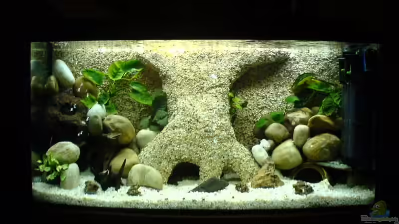 mein becken ! von Manuel Hammes (1)