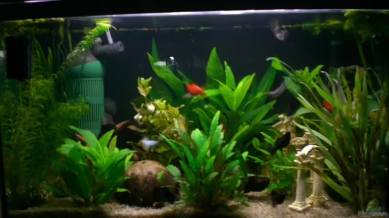 Mein Becken;) von ninimuckel (1)