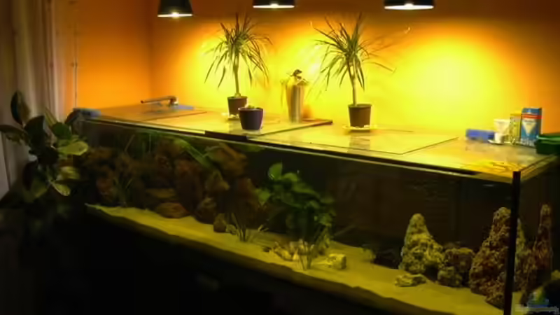 Mein Becken 1 von Thomas Kowollik (1)