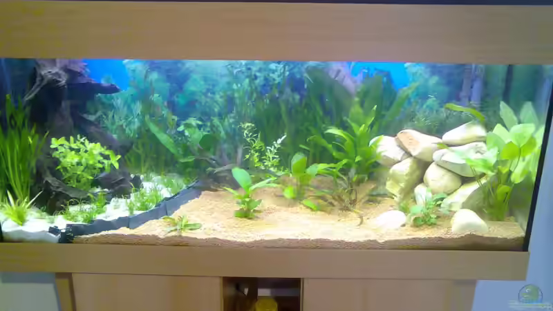 Mein Becken 14.1.2007