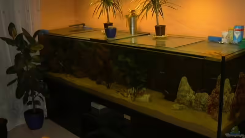 Mein Becken 2 von Thomas Kowollik (2)